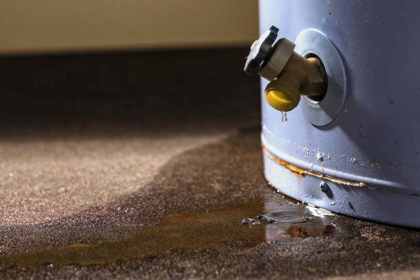  Auburn, WA Water damage restoration Pros