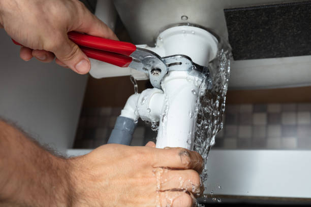 Best Ceiling water damage repair  in Auburn, WA
