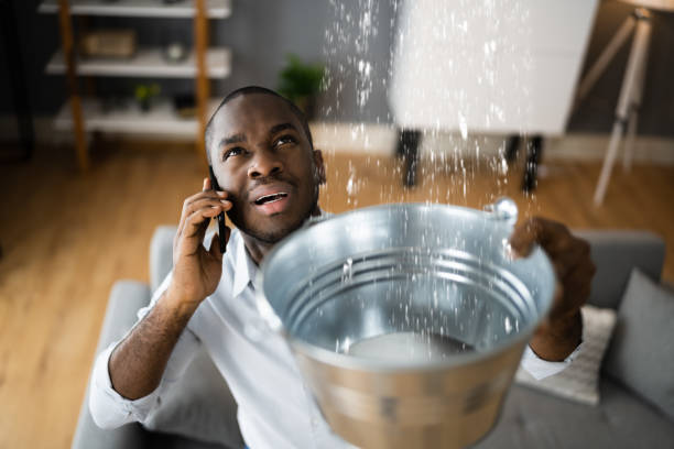 Best Flood restoration services  in Auburn, WA