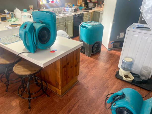 Trusted WA Water damage restoration Experts