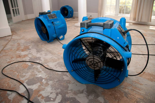 Best Water damage restoration process  in Auburn, WA