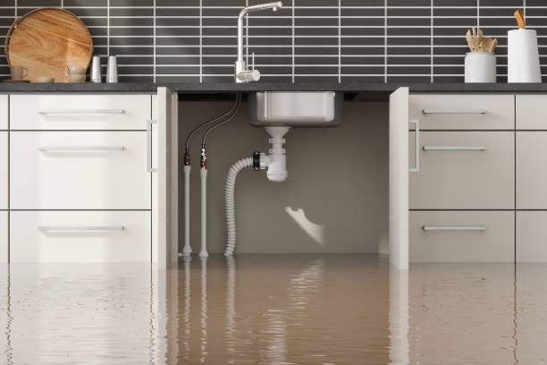 Best Water damage restoration near me  in Auburn, WA